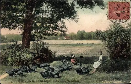 Ak Kinder und Hühner auf der Wiese, Landwirtschaft, Fütterung