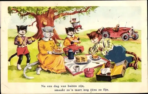 Ak Vermenschlichte Katzen beim Picknick