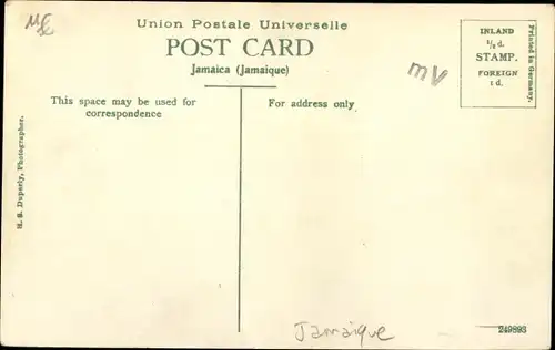 Passepartout Ak Kingston Jamaica, Harbour Street, Myrtle Bank Hotel