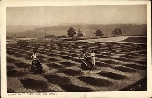 Ak São Paulo Brasilien, Terreiro de cafe