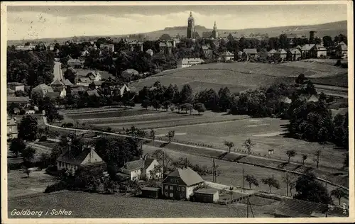 Ak Złotoryja Goldberg Schlesien, Panorama