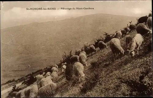 Ak Saint Honoré les Bains Nièvre, Weide Mont Genièvre