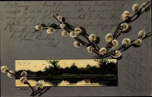 Präge Künstler Ak Mailick, Weidenkätzchen, Wasserpartie