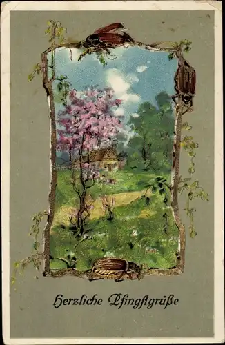Ak Glückwunsch Pfingsten, Maikäfer, Bäume, Haus