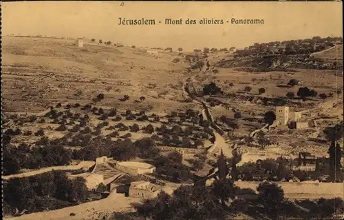 Ak Jerusalem Israel, Panorama, Olivenbäume auf dem Berg