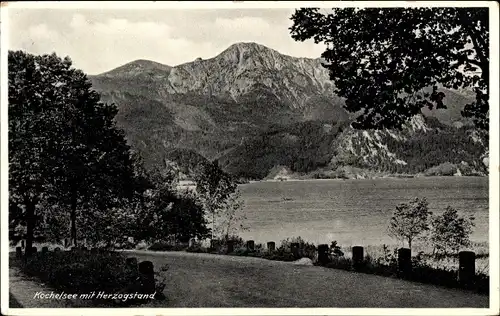 Ak Kochel am See in Oberbayern, Herzogstand, Kochelsee