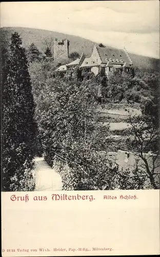 Ak Miltenberg am Main Unterfranken, Altes Schloss