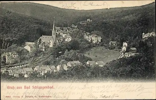 Ak Schlangenbad im Taunus Hessen, Panorama