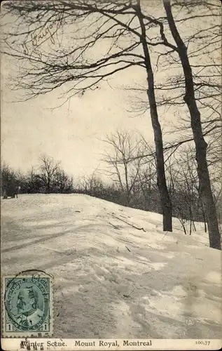 Ak Montreal Quebec Kanada, Mount Royal, Winterszene