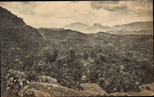 Ak Colombo Ceylon Sri Lanka, Panorama