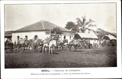 Ak Brasilien, Transportwagen