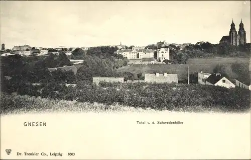 Ak Gniezno Gnesen Posen, Gesamtansicht von der Schwedenhöhe aus