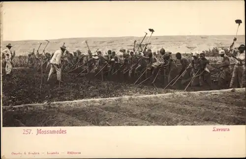 Ak Moçâmedes Mossamedes Angola, Lavoura, einheimische Feldarbeiter