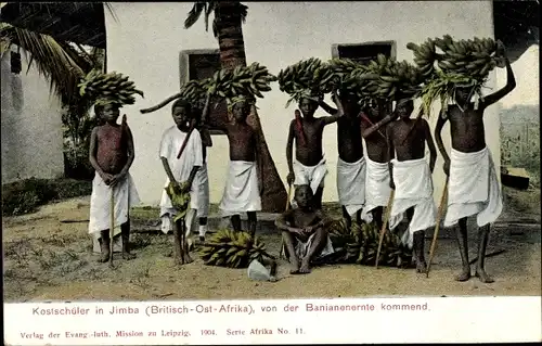 Ak Kostschüler in Jimba, Bananenernte