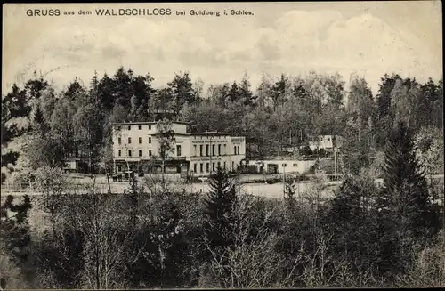 Ak Złotoryja Goldberg Schlesien, Waldschloss