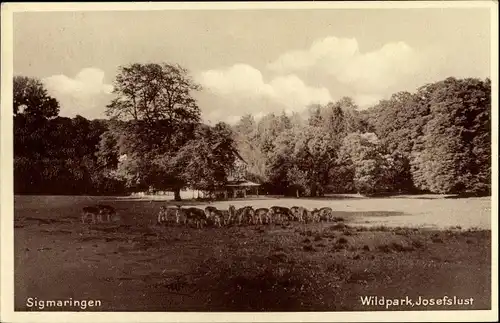 Ak Sigmaringen an der Donau, Wildpark Josefslust