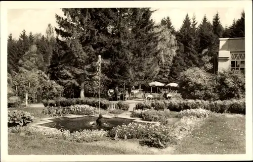 Ak Rinteln an der Weser, Waldhaus Elfenborn, Inh. Wilh. Barkhausen