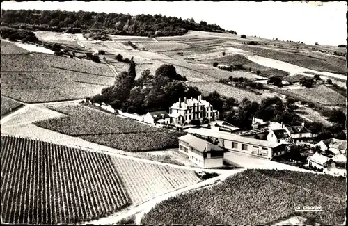Ak Reims Marne, vue du Domaine de la Marquetterie Pierry, Propiete du Champagne Taittinger