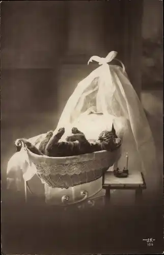 Ak Katze im Wiegenbett, Tierportrait