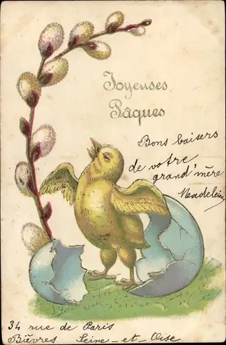 Präge Litho Glückwunsch Ostern, Küken, Eierschale, Weidenkätzchen