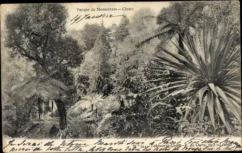 Ak Sintra Cintra Portugal, Parque do Monserrate