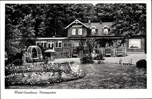 Ak Ascheffel im Kreis Eckernförde, Hüttener Berge, Waldgasthaus Baumgarten