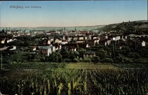 Ak Würzburg am Main Unterfranken, vom Steinberg, Gesamtansicht