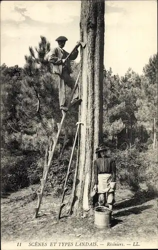 CLA-Szenen und -Typen Landais, Resiniers