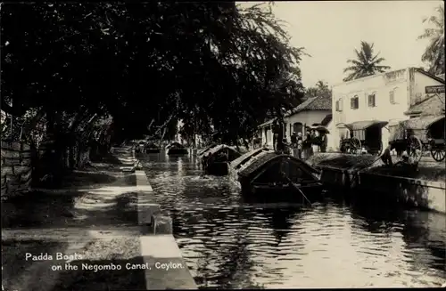 Ak Negombo Sri Lanka, Padda-Boote auf dem Negombo-Kanal