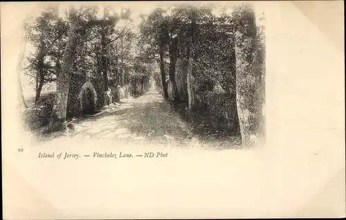 Ak Jersey Kanalinseln, Vinchelez Lane