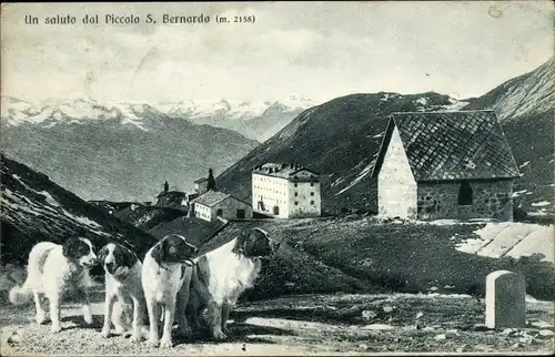 Ak Aosta Aostatal, Kleiner Sankt Bernhard