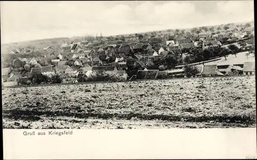 Ak Kriegsfeld in der Pfalz, Gesamtansicht