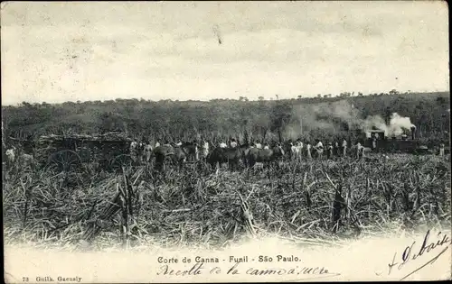 Ak São Paulo Brasilien, Corte de Canna, Funil