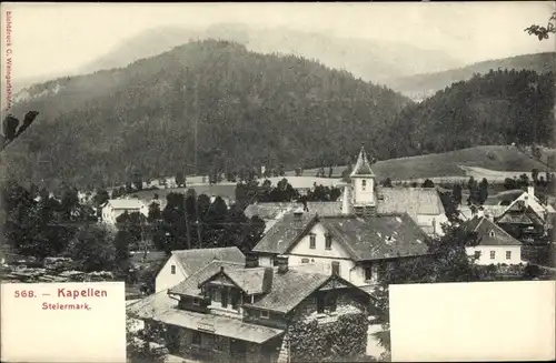 Ak Kapellen Neuberg an der Mürz Steiermark, Teilansicht