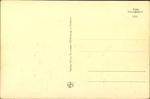 Ak Gdańsk Danzig, Krantor, Artushof, Marienkirche, Lange Gasse