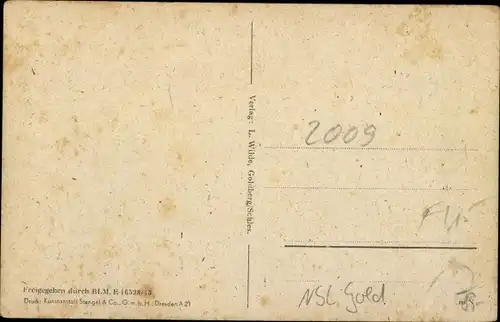 Ak Złotoryja Goldberg Schlesien, Totalansicht