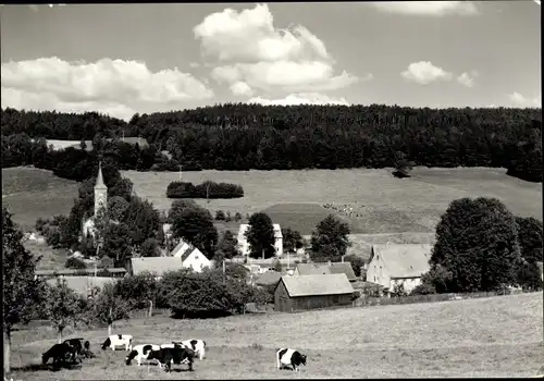 Ak Cunnersdorf Gohrisch in Sachsen, Ortsansicht, Kirche, Kühe