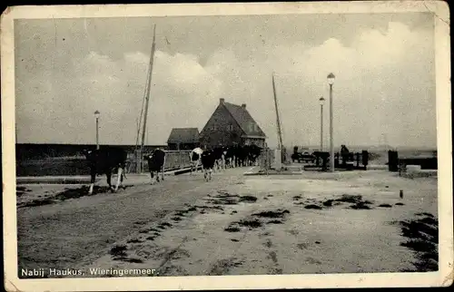 Ak Wieringermeer Hollands Kroon Nordholland Niederlande, Nabij Haukus