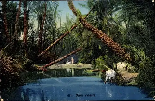 Ak Maghreb, Oase, Palmen, Wasser, Lehnert & Landrock 634