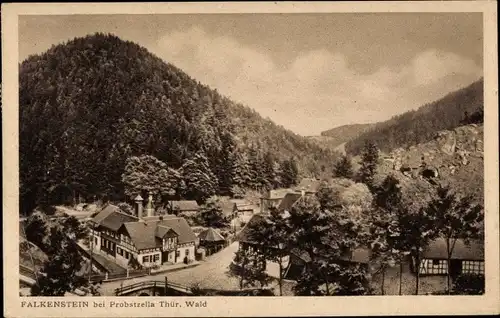 Ak Falkenstein Ludwigsstadt in Oberfranken, Teilansicht