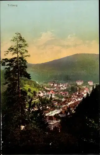 Ak Triberg im Schwarzwald, Ortsansicht