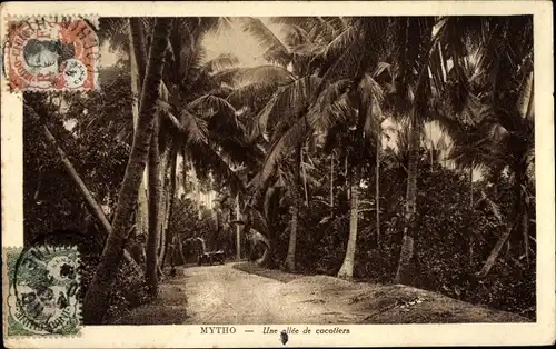 Ak Mytho Vietnam, Kokospalmen Allee