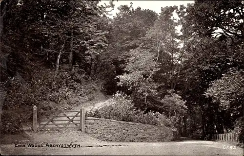 Ak Aberystwyth Wales, Wegepartie, Wald