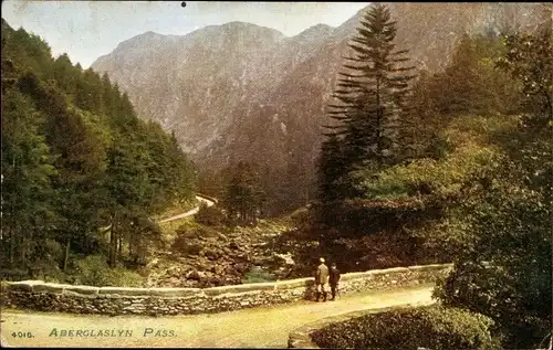 Ak Wales, Aberglaslyn Pass, Gebirgspass, Wald