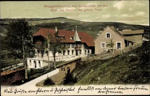 Ak Muggenbrunn Todtnau im Südschwarzwald, Hotel und Pension zum grünen Baum