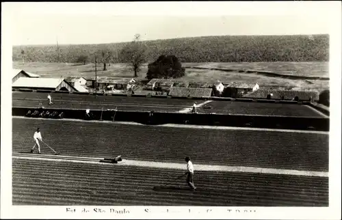 Ak São Paulo Brasilien, Arbeiten auf dem Feld