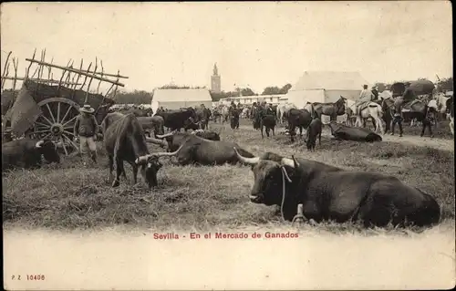 Ak Sevilla Andalusien, Auf dem Viehmarkt