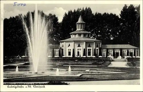 Ak Ludwigshafen am Rhein, Ebertpark, Wasserfontäne