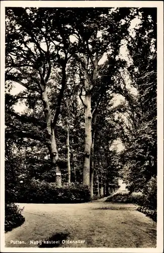 Ak Putten Gelderland, in der Nähe von Schloss Oldenaller