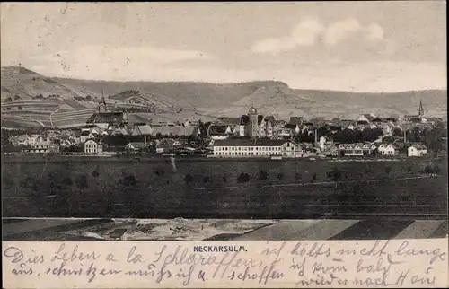 Ak Neckarsulm in Württemberg, Panorama